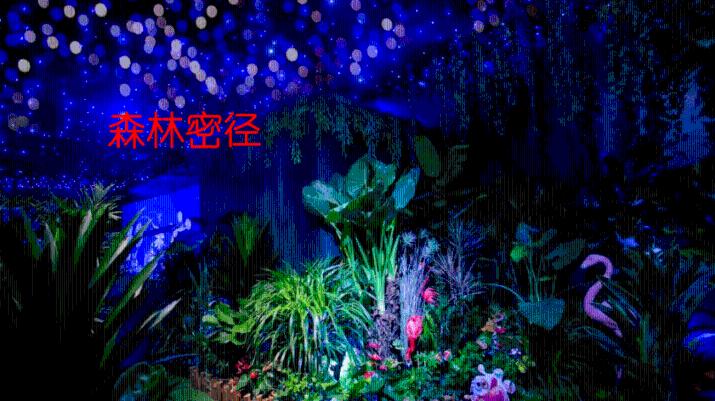 cold的形容词是什么？